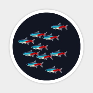 Neon Tetra School Magnet